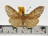  ( - ZWIER DNA 0619)  @13 [ ] Copyright (2010) Unspecified Research Collection of Jaap Zwier