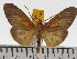  ( - ZWIER DNA 0621)  @11 [ ] Copyright (2010) Unspecified Research Collection of Jaap Zwier