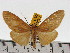  ( - ZWIER DNA 0622)  @14 [ ] Copyright (2010) Unspecified Research Collection of Jaap Zwier