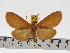  ( - ZWIER DNA 0623)  @15 [ ] Copyright (2010) Unspecified Research Collection of Jaap Zwier