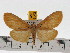  ( - ZWIER DNA 0624)  @14 [ ] Copyright (2010) Unspecified Research Collection of Jaap Zwier