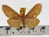 ( - ZWIER DNA 0626)  @11 [ ] Copyright (2010) Unspecified Research Collection of Jaap Zwier