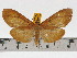  ( - ZWIER DNA 0627)  @13 [ ] Copyright (2010) Unspecified Research Collection of Jaap Zwier