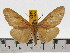  ( - ZWIER DNA 0630)  @11 [ ] Copyright (2010) Unspecified Research Collection of Jaap Zwier