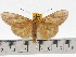 ( - ZWIER DNA 0632)  @11 [ ] Copyright (2010) Unspecified Research Collection of Jaap Zwier