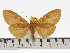  ( - ZWIER DNA 0633)  @11 [ ] Copyright (2010) Unspecified Research Collection of Jaap Zwier