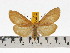 ( - ZWIER DNA 0636)  @15 [ ] Copyright (2010) Unspecified Research Collection of Jaap Zwier