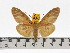  ( - ZWIER DNA 0638)  @11 [ ] Copyright (2010) Unspecified Research Collection of Jaap Zwier