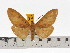  ( - ZWIER DNA 0639)  @11 [ ] Copyright (2010) Unspecified Research Collection of Jaap Zwier