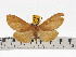  ( - ZWIER DNA 0640)  @15 [ ] Copyright (2010) Unspecified Research Collection of Jaap Zwier