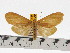  ( - ZWIER DNA 0641)  @15 [ ] Copyright (2010) Unspecified Research Collection of Jaap Zwier