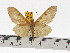  ( - ZWIER DNA 0642)  @15 [ ] Copyright (2010) Unspecified Research Collection of Jaap Zwier