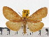  ( - ZWIER DNA 0645)  @15 [ ] Copyright (2010) Unspecified Research Collection of Jaap Zwier