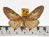  ( - ZWIER DNA 0646)  @14 [ ] Copyright (2010) Unspecified Research Collection of Jaap Zwier