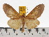  ( - ZWIER DNA 0647)  @15 [ ] Copyright (2010) Unspecified Research Collection of Jaap Zwier