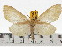  ( - ZWIER DNA 0648)  @14 [ ] Copyright (2010) Unspecified Research Collection of Jaap Zwier