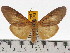 ( - ZWIER DNA 0649)  @15 [ ] Copyright (2010) Unspecified Research Collection of Jaap Zwier