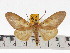  ( - ZWIER DNA 0650)  @15 [ ] Copyright (2010) Unspecified Research Collection of Jaap Zwier