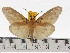  ( - ZWIER DNA 0652)  @14 [ ] Copyright (2010) Unspecified Research Collection of Jaap Zwier