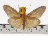  ( - ZWIER DNA 0654)  @15 [ ] Copyright (2010) Unspecified Research Collection of Jaap Zwier