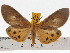  ( - ZWIER DNA 0662)  @15 [ ] Copyright (2010) Unspecified Research Collection of Jaap Zwier