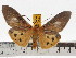  ( - ZWIER DNA 0663)  @15 [ ] Copyright (2010) Unspecified Research Collection of Jaap Zwier