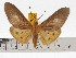  ( - ZWIER DNA 0665)  @15 [ ] Copyright (2010) Unspecified Research Collection of Jaap Zwier