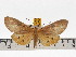  ( - ZWIER DNA 0666)  @14 [ ] Copyright (2010) Unspecified Research Collection of Jaap Zwier