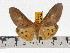  ( - ZWIER DNA 0667)  @13 [ ] Copyright (2010) Unspecified Research Collection of Jaap Zwier