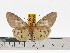  ( - ZWIER DNA 0672)  @13 [ ] Copyright (2010) Unspecified Research Collection of Jaap Zwier