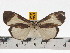  ( - ZWIER DNA 0692)  @13 [ ] Copyright (2010) Unspecified Research Collection of Jaap Zwier