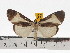  ( - ZWIER DNA 0693)  @14 [ ] Copyright (2010) Unspecified Research Collection of Jaap Zwier