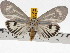  ( - ZWIER DNA 0706)  @14 [ ] Copyright (2010) Unspecified Research Collection of Jaap Zwier