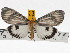  ( - ZWIER DNA 0709)  @14 [ ] Copyright (2010) Unspecified Research Collection of Jaap Zwier