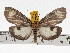  ( - ZWIER DNA 0710)  @11 [ ] Copyright (2010) Unspecified Research Collection of Jaap Zwier