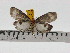  ( - ZWIER DNA 0718)  @11 [ ] Copyright (2010) Unspecified Research Collection of Jaap Zwier