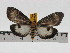  ( - ZWIER DNA 0723)  @11 [ ] Copyright (2010) Unspecified Research Collection of Jaap Zwier