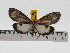 ( - ZWIER DNA 0725)  @11 [ ] Copyright (2010) Unspecified Research Collection of Jaap Zwier