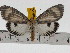  ( - ZWIER DNA 0727)  @14 [ ] Copyright (2010) Unspecified Research Collection of Jaap Zwier
