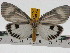  ( - ZWIER DNA 0732)  @14 [ ] Copyright (2010) Unspecified Research Collection of Jaap Zwier
