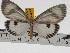  ( - ZWIER DNA 0734)  @12 [ ] Copyright (2010) Unspecified Research Collection of Jaap Zwier