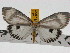  ( - ZWIER DNA 0735)  @11 [ ] Copyright (2010) Unspecified Research Collection of Jaap Zwier