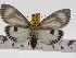  ( - ZWIER DNA 0741)  @13 [ ] Copyright (2010) Unspecified Research Collection of Jaap Zwier