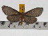  ( - ZWIER DNA 0742)  @13 [ ] Copyright (2010) Unspecified Research Collection of Jaap Zwier