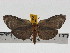  ( - ZWIER DNA 0743)  @13 [ ] Copyright (2010) Unspecified Research Collection of Jaap Zwier