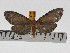  ( - ZWIER DNA 0744)  @13 [ ] Copyright (2010) Unspecified Research Collection of Jaap Zwier