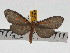  ( - ZWIER DNA 0745)  @13 [ ] Copyright (2010) Unspecified Research Collection of Jaap Zwier