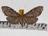  ( - ZWIER DNA 0747)  @13 [ ] Copyright (2010) Unspecified Research Collection of Jaap Zwier