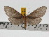  ( - ZWIER DNA 0748)  @13 [ ] Copyright (2010) Unspecified Research Collection of Jaap Zwier