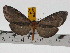  ( - ZWIER DNA 0749)  @13 [ ] Copyright (2010) Unspecified Research Collection of Jaap Zwier